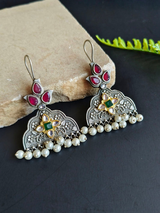 0008DTKHKREDGRNWHTPLK