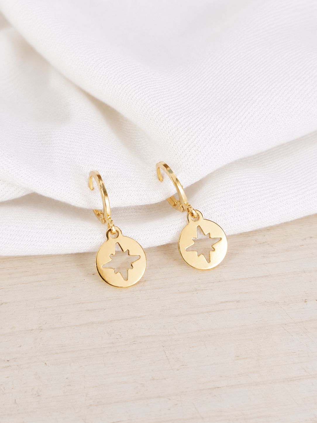 Steel Fashion Earrings