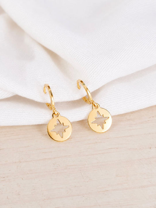 Steel Fashion Earrings