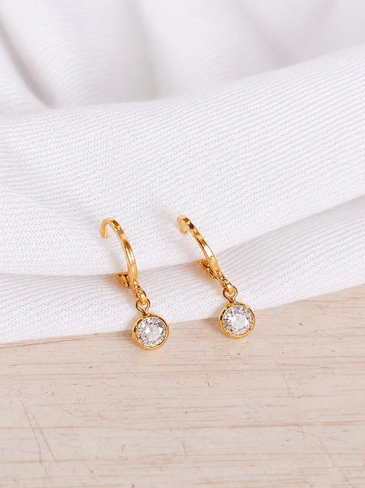 Steel Stone Earrings