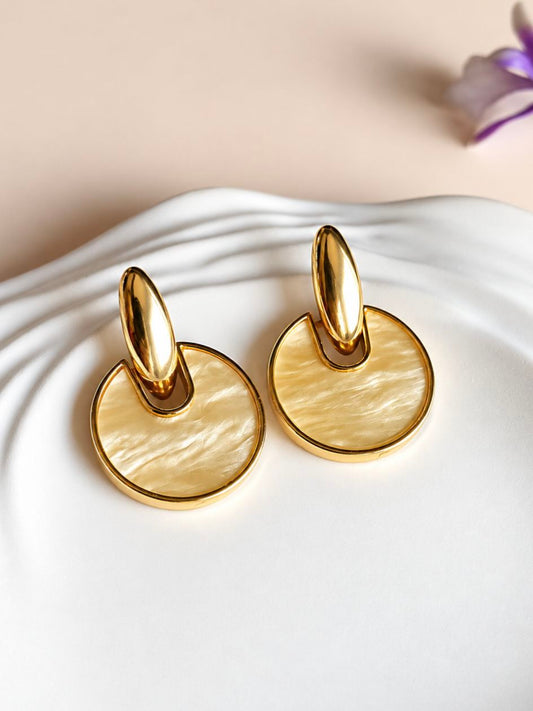 Stainless Steel Earrings 0098AMDLYLW